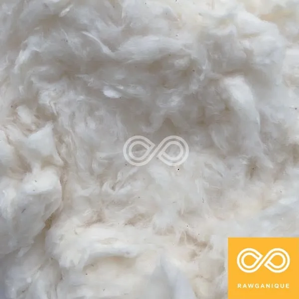 100% Organic Cotton Premium Batting - Fill (USA) (Per Pound)