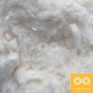 100% Organic Cotton Premium Batting - Fill (USA) (Per Pound)