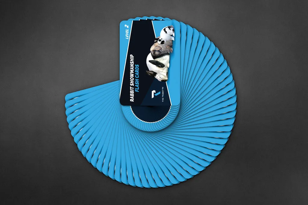 3 Deck Multi-Level Rabbit Flashcard Bundle