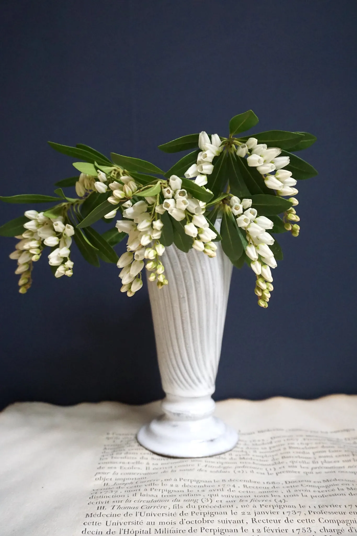 Astier de Villatte Small Peggy Vase