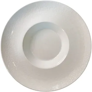 Bauscher Hepp 190128-590025 Plate