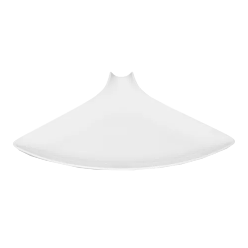 Bauscher Hepp T902632 Plate
