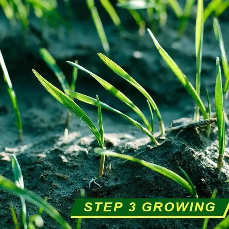 Biodegradable Grass Seed Mat - without Seed