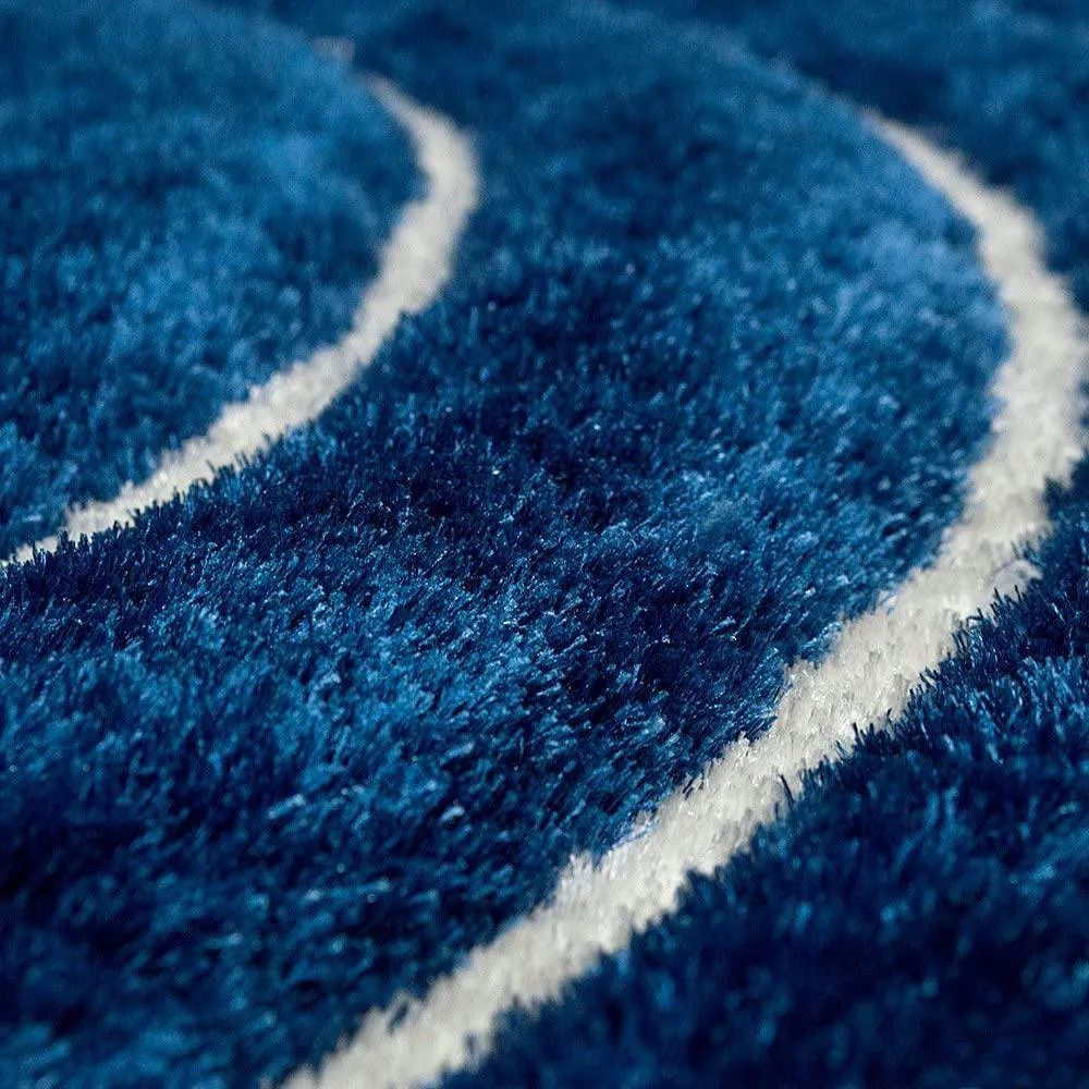 Farookht Shag Area Rugs for Living Room, Shaggy Floor Carpet for Bedroom, Girls Carpets, Kids Home Decor Rugs, Cute Luxury Non-Slip, F-SH-001