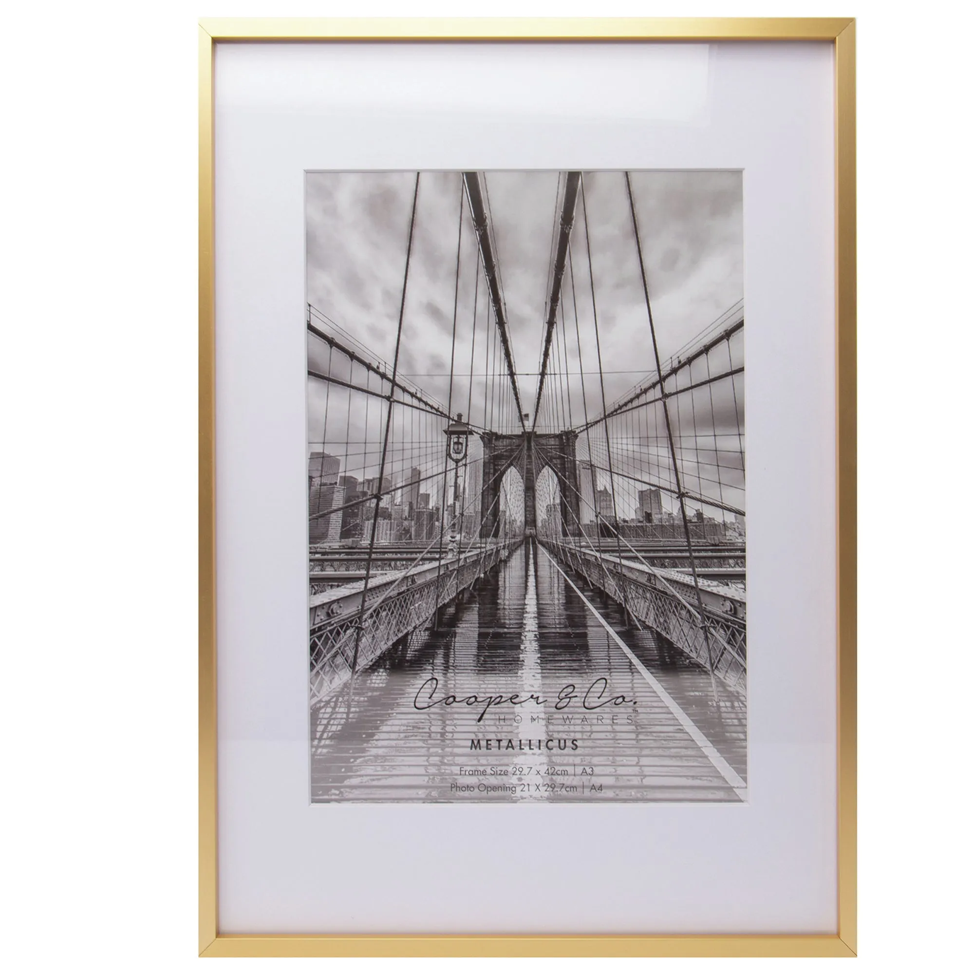 Matte Premium Metallicus A3 Metal Photo Frame