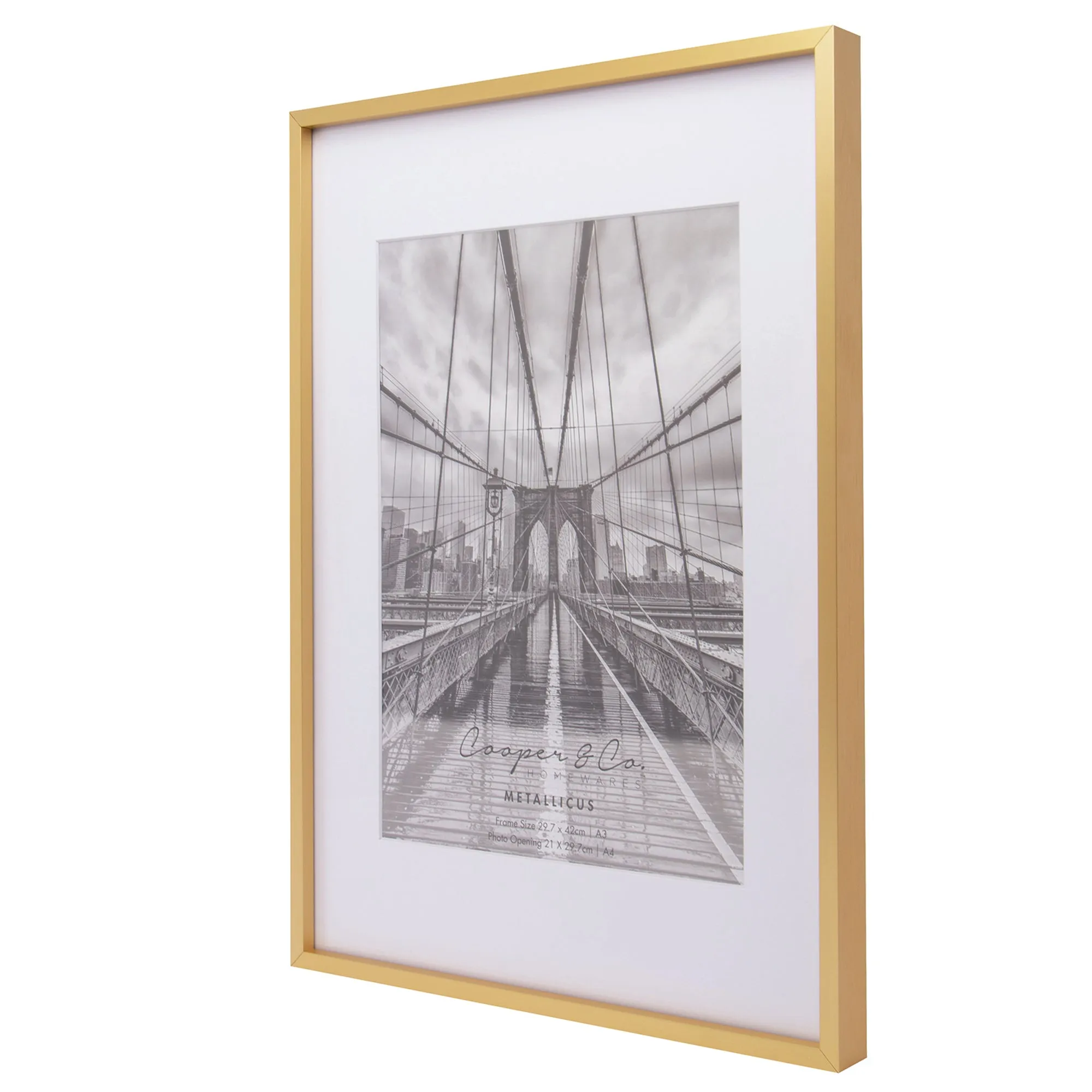 Matte Premium Metallicus A3 Metal Photo Frame