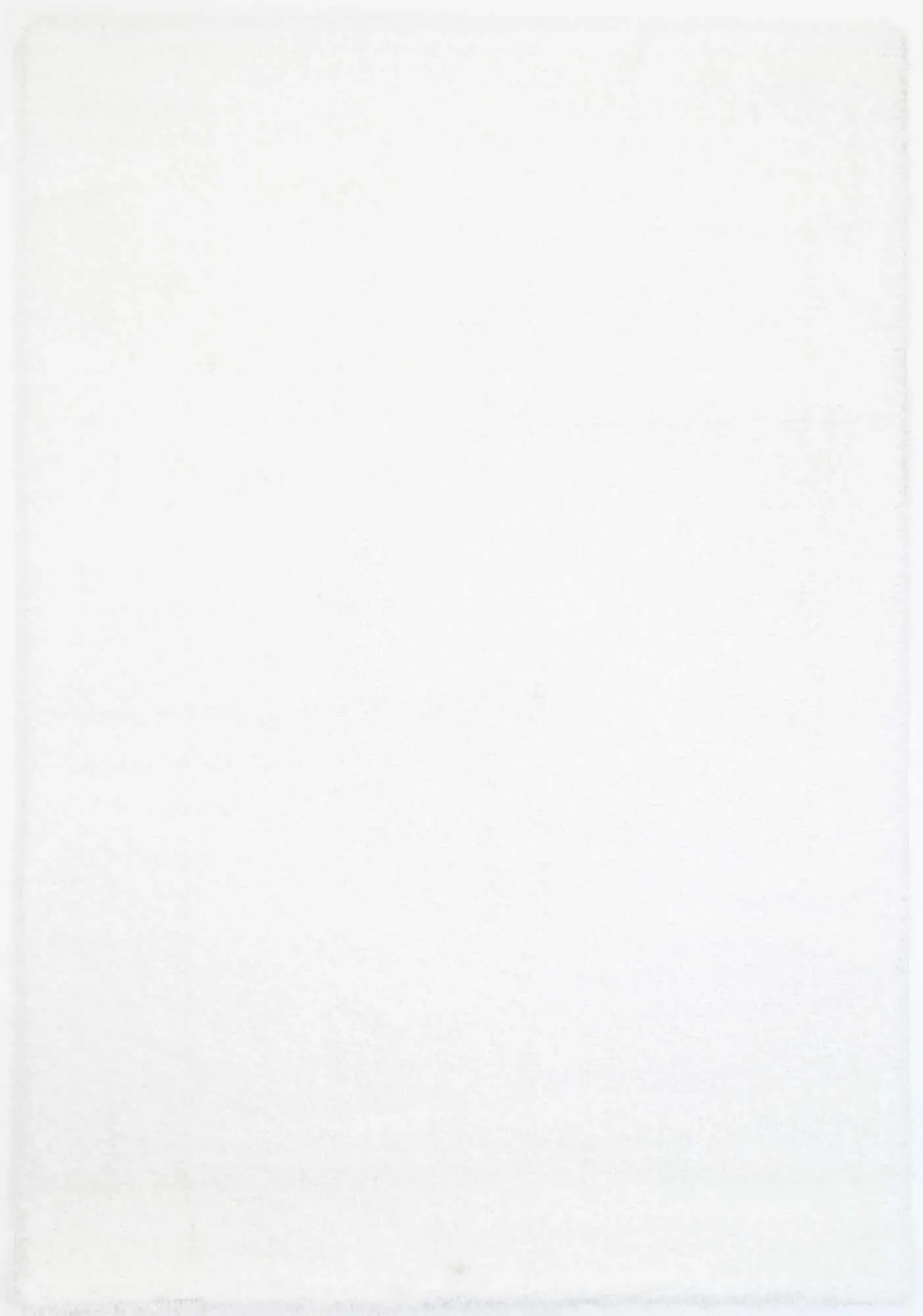 Puffy Soft Shaggy White 200x290 cm