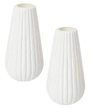 RSP HOME DECOR Omega VASE Crafts White Colored vase for Your Flowers for Home Decor,Real Flowers Home Decor Set of 2 (White) Plastic